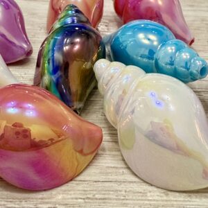 Cuenta pasante XL  CARACOL 18557-2-AD