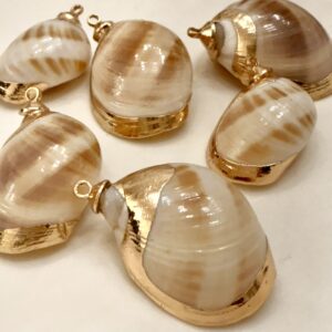 Dije de Caracol Natural Con baño en Oro 19538