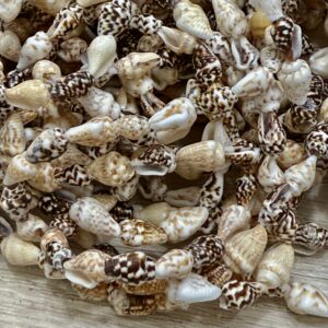 Tira de caracoles pasantes  blancos tostados 19554