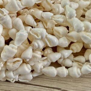 Tira de caracoles pasantes  blancos 19552