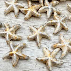 Piedra reconstituida Estrella de mar 19744