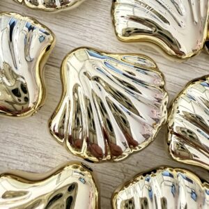 Cuenta pasante CCB ostra xl x 2