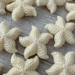 Cuenta pasante estrella de mar chx3 arena