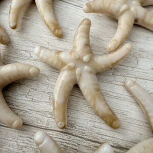 Cuenta pasante resina estrella de mar xl arena