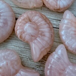 Caracol rosado 20040-5