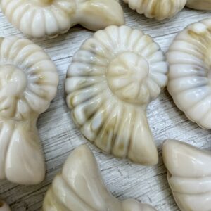 Caracol XL arena  20047-2