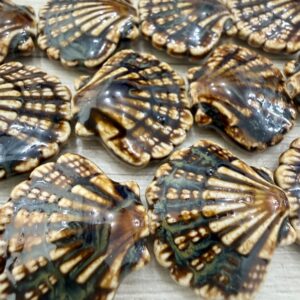 Cuentas Cerámica Esp. Ostra 20188-1