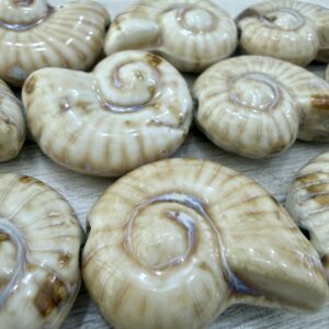 Cuentas Cerámica Esp.  Caracol 20181-2