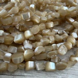 NACAR camel tira formato irregular 20254