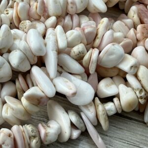 NACAR PULIDO escalla natural 20260