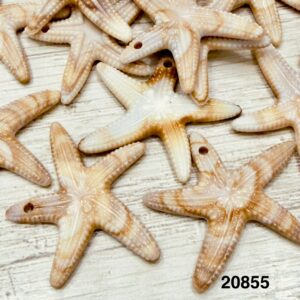 Dije estrella de mar marmoladas 20855